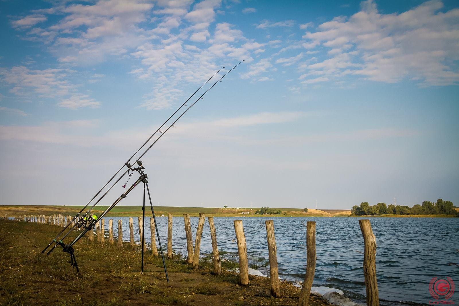 Concursuri 2016 by gor965 - 1454248211737404493159142329046644577734070o.jpg